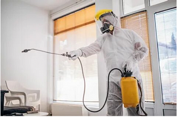 Рекомендации по технике безопасности,  уборке и защите помещения  после обработки от насекомых (дезинсекции)